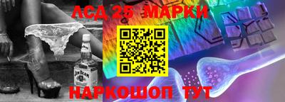 Альфа ПВП Будённовск