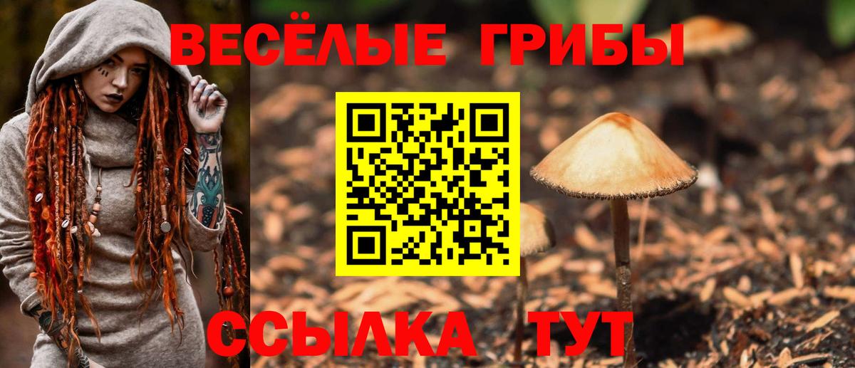 Галлюциногенные грибы MAGIC MUSHROOMS Протвино