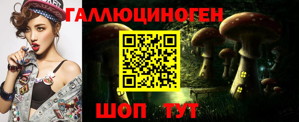 Протвино  Псилоцибиновые грибы GOLDEN TEACHER  Псилоцибиновые грибы MAGIC MUSHROOMS  Вход с VPN 